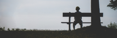 person-sitting-on-bench-under-tree