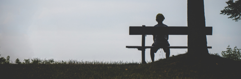 person-sitting-on-bench-under-tree