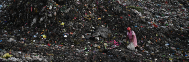 person-collecting-trash-on-landfill