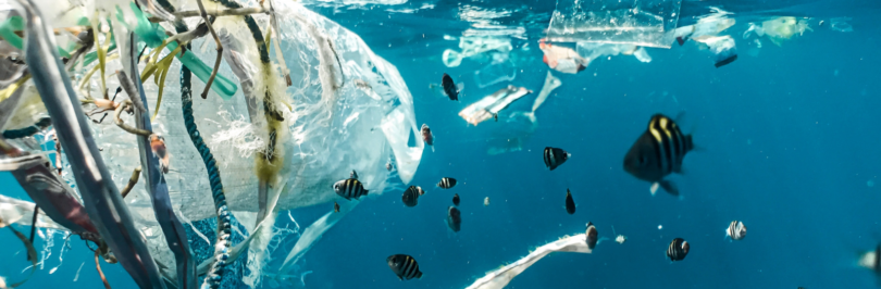 marine-plastic-near-school-of-fish