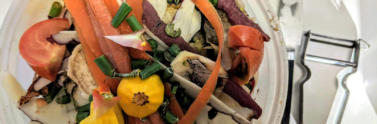 pile-of-organic-waste