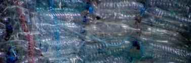 plastic-bottles