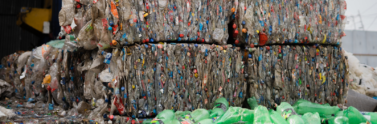 plastic-bottles-pressed-into-cubes