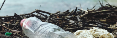 plastic-waste-by-water