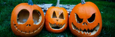 three-old-jack-o-lanterns-outside