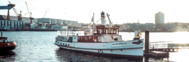 white-and-brown-boat-on-the-body-of-water