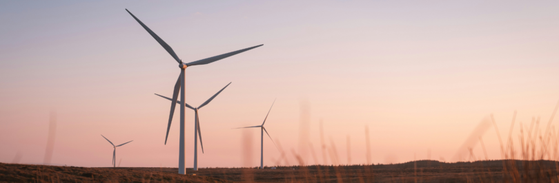wind-turbines-in-field