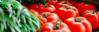 tomatoes-and-other-produce