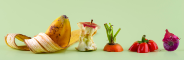 Arrangement of compostable fruits and vegetables on green background