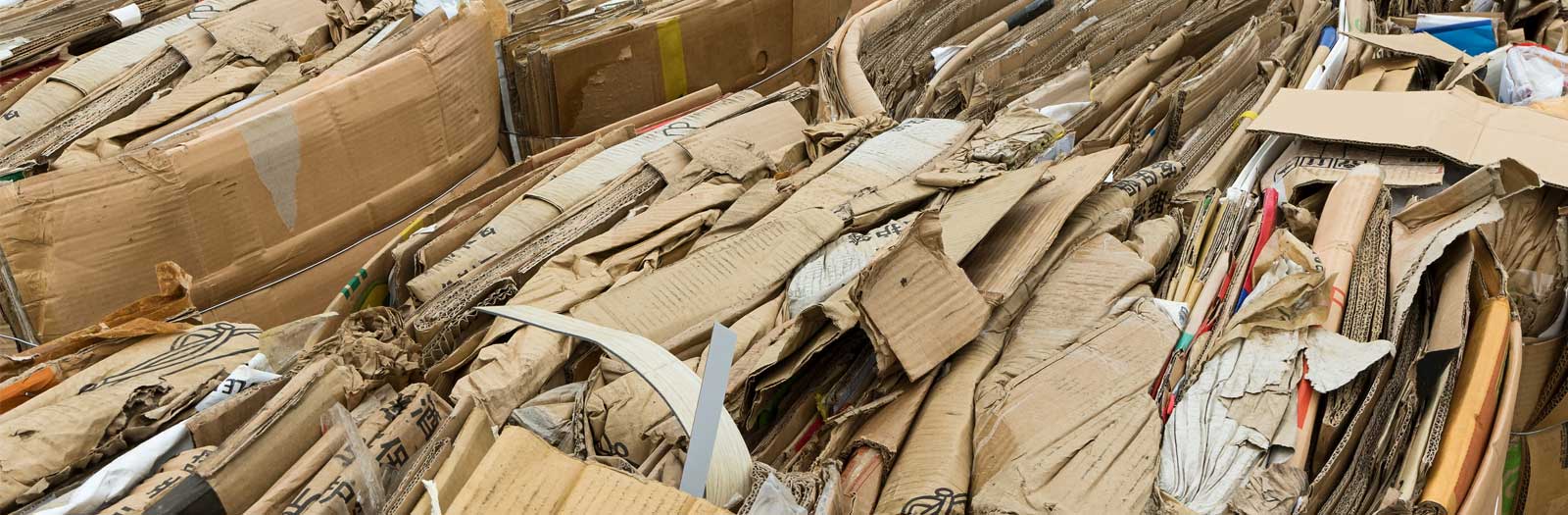 Cardboard