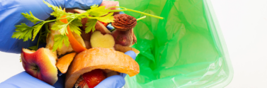 Person wearing gloves holding food scraps