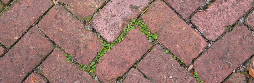 brick path
