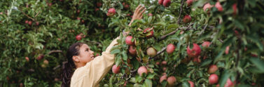 girl picking an apple