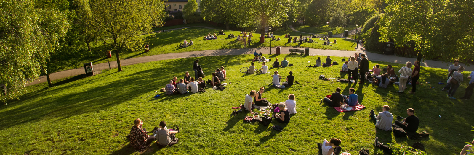 Groups of people sitting in park