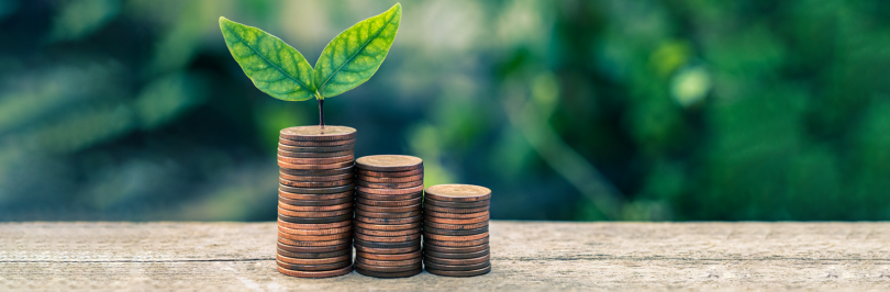 Table with a stack of coins with a small green leaf on top