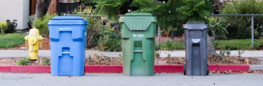 curbside collection